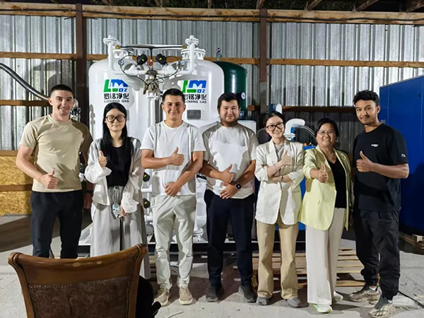 Генератор азота PSA для производителя электроники в Израиле