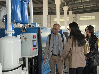 Генератор азота высокой чистоты (пищевого класса) для производителя продуктов питания из России