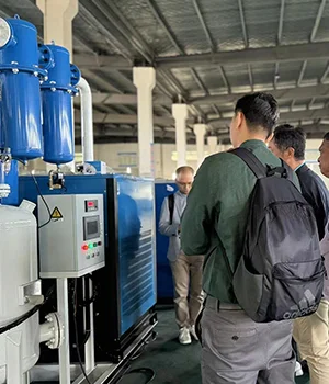 Генератор азота высокой чистоты (пищевого класса) для производителя продуктов питания из России